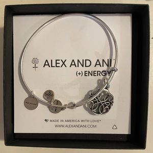Alex and ani charm bangle